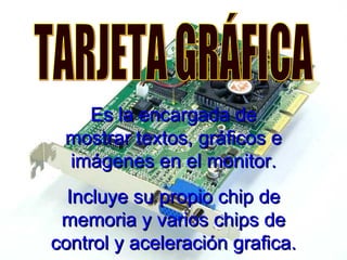 TARJETA GRÁFICA Es la encargada de mostrar textos, gráficos e imágenes en el monitor. Incluye su propio chip de memoria y varios chips de control y aceleración grafica. 