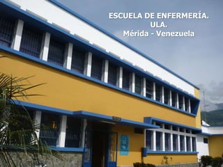 ESCUELA DE ENFERMERÍA.
ULA.
Mérida - Venezuela

 