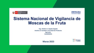 Marzo 2023
Ing. Andres A. Zapata Zapata
Analista en Sanidad e Inocuidad de Productos
Agrícolas.
CAJAMARCA
Sistema Nacional de Vigilancia de
Moscas de la Fruta
 