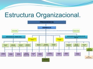 Estructura Organizacional.
 
