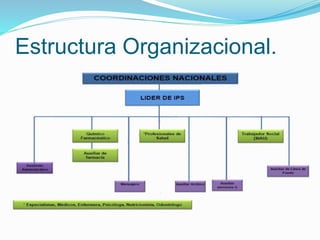 Estructura Organizacional.
 