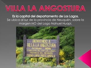 Se ubica al sur de la provincia de Neuquén, sobre la
        margen NO del Lago Nahuel Huapi.
 