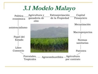 3.1 Modelo Malayo
    Política      Agricultura y    Extranjerización      Capital
  económica       ganadería de     de la Propiedad     Financiero
                      elite
                                                       Mecanización
asistencialismo
                                                      Macroproyectos
   Papel del
    Estado                                               Normas
                                                        sanitarias
     Libre
   Comercio                                             Patentes

           Forestales,       Agrocombustibles   Agricultura
           Tropicales                           por contrato
 
