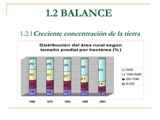 1.2 BALANCE
1.2.1Creciente concentración de la tierra
          Distribución del área rural según
          tamaño predial por hectárea (% )


   29       29     35
                           45
                                  63          500
   30       31                                100-500
                   27
                           21                 20-100
   23       24                    14          0-20
                   24      22
                                  15
   18       16     15      13      9

   1960     1970    1984   1996   2003
 