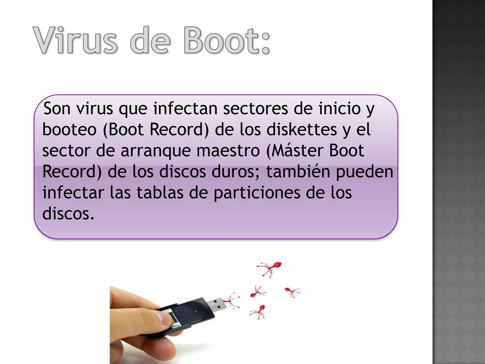 Son virus que infectan sectores de inicio y
booteo (Boot Record) de los diskettes y el
sector de arranque maestro (Máster Boot
Record) de los discos duros; también pueden
infectar las tablas de particiones de los
discos.
 