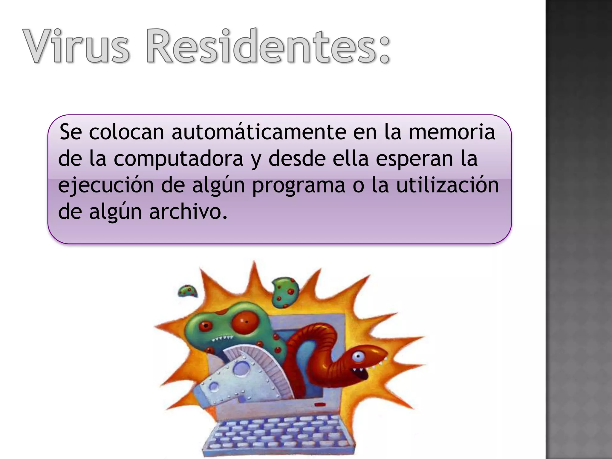 Se colocan automáticamente en la memoria
de la computadora y desde ella esperan la
ejecución de algún programa o la utilización
de algún archivo.
 
