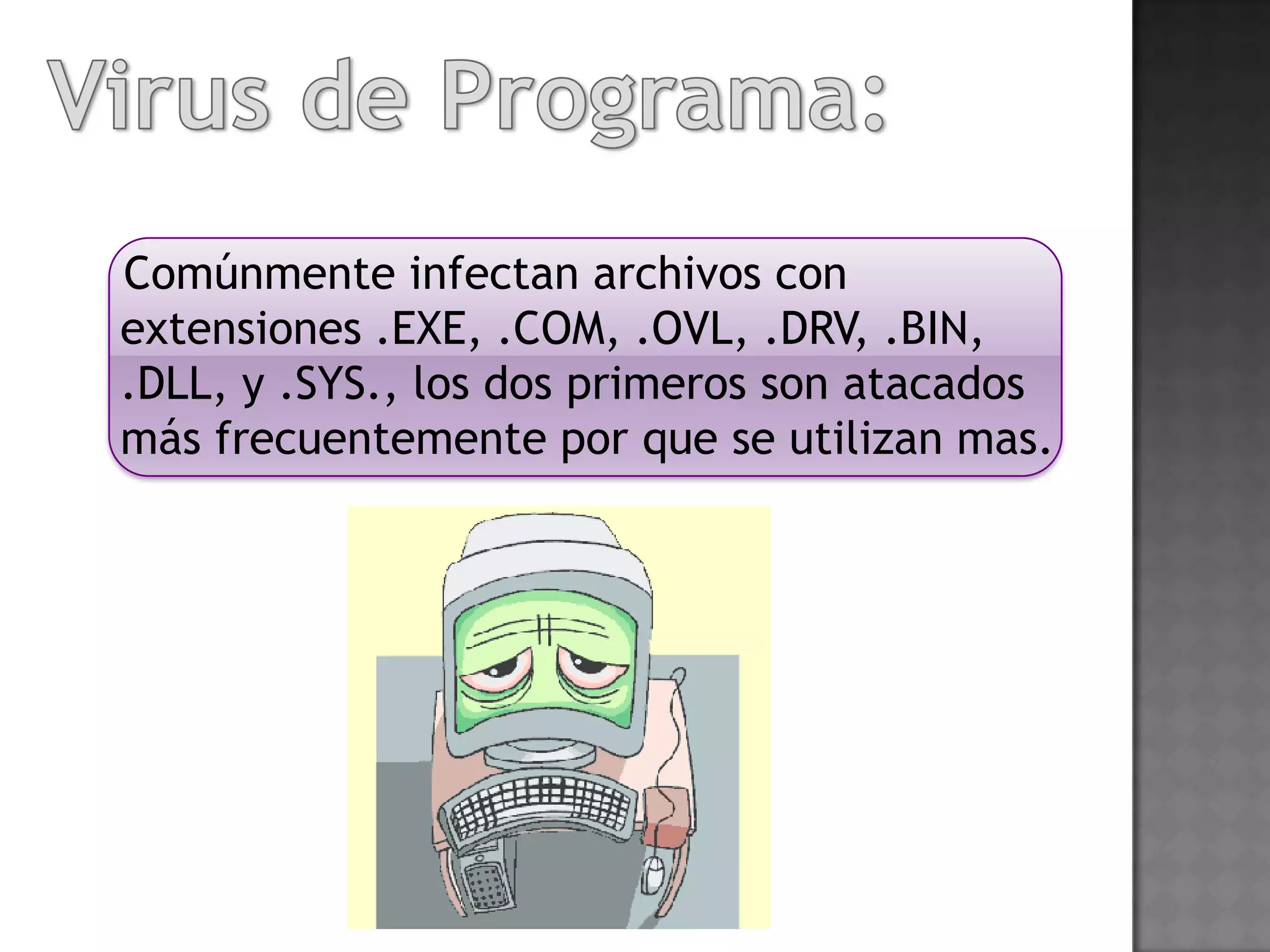 Comúnmente infectan archivos con
extensiones .EXE, .COM, .OVL, .DRV, .BIN,
.DLL, y .SYS., los dos primeros son atacados
más frecuentemente por que se utilizan mas.
 