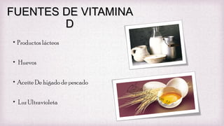 FUENTES DE VITAMINA
D
• Productos lácteos
• Huevos
• Aceite De hígado de pescado
• Luz Ultravioleta

 