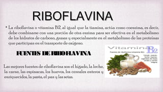 RIBOFLAVINA
• La riboflavina o vitamina B2, al igual que la tiamina, actúa como coenzima, es decir,
debe combinarse con una porción de otra enzima para ser efectiva en el metabolismo
de los hidratos de carbono, grasas y especialmente en el metabolismo de las proteínas
que participan en el transporte de oxígeno.

F NT S DE RIB L
UE E
OF AVINA
Las mejores fuentes de riboflavina son el hígado, la leche,
la carne, las espinacas, los huevos, los cereales enteros y
enriquecidos, la pasta, el pan y las setas.

 