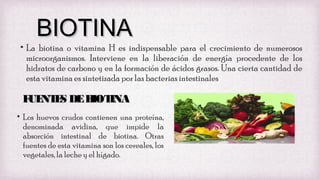 BIOTINA

• La biotina o vitamina H es indispensable para el crecimiento de numerosos
microorganismos. Interviene en la liberación de energía procedente de los
hidratos de carbono y en la formación de ácidos grasos. Una cierta cantidad de
esta vitamina es sintetizada por las bacterias intestinales

F NT S DE B INA
UE E
IOT
• Los huevos crudos contienen una proteína,
denominada avidina, que impide la
absorción intestinal de biotina. Otras
fuentes de esta vitamina son los cereales, los
vegetales, la leche y el hígado.

 