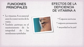 FUNCIONES
PRINCIPALES
• La vitamina A es esencial
para la conservación de la
visión.
• También participa en el
mantenimiento de la
integridad
de
las
membranas epiteliales

EFECTOS DE LA
DEFICIENCIA
DE VITAMINA A
• Ceguera nocturna
• ceguera permanente
• sequedad en la piel

 