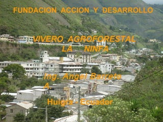 FUNDACION  ACCION  Y  DESARROLLO VIVERO  AGROFORESTAL  LA  NINFA Ing. Angel Barreto A. Huigra - Ecuador 