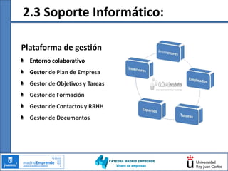 2. Organización - Organigrama:Comité expertos