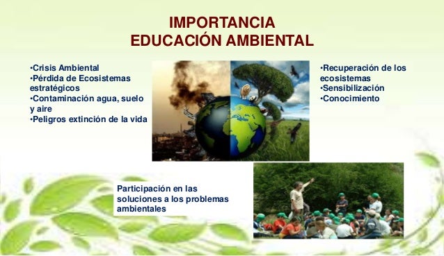 Trabajo Colaborativo Educacion Ambiental Wiki 6