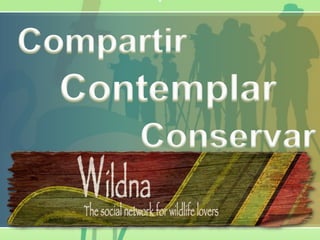Objetivos
ELABORAR UN INFORME COMERCIAL CON LOS RESULTADOS Y CONCLUSIONES
OBTENIDOS DEL ANÁLISIS ESTADÍSTICO Y SU RELACIÓN CON EL OBJETO DE
ESTUDIO. PRESENTAR LOS RESULTADOS DE FORMA EFICAZ. INCORPORAR
DATOS A UNA BASE DE DATOS.