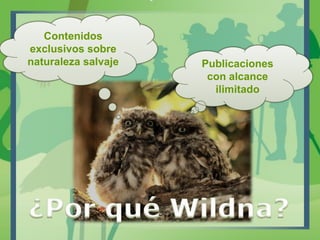 Contenidos
exclusivos sobre
naturaleza salvaje Publicaciones
con alcance
ilimitado