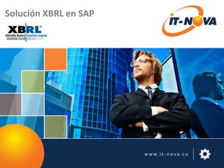Solución XBRL en SAP
 