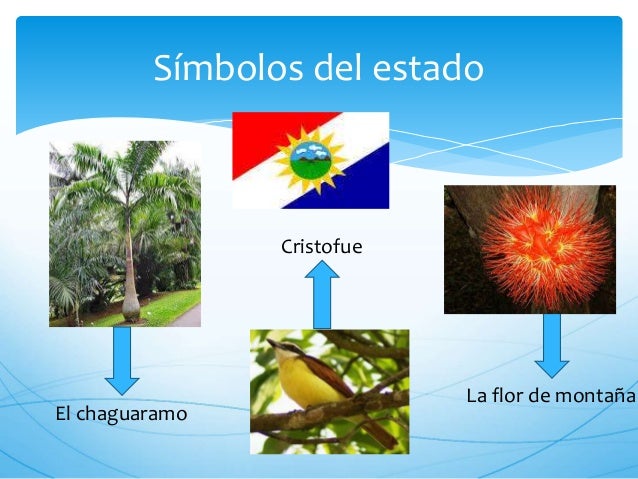 simbolos naturales de todos los estados presentaci 243 n yaracuy simbolos naturales de todos los estados presentaci 243 n yaracuy