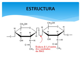ESTRUCTURA
 