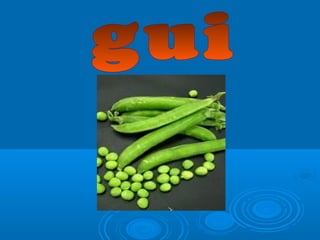 Presentación z c.-g-gu