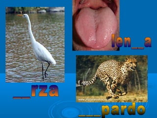 Presentación z c.-g-gu