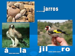 Presentación z c.-g-gu