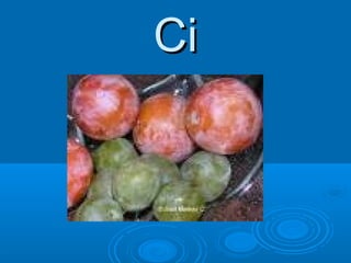 Ci

 