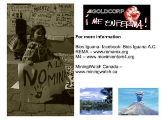 For more information
Bios Iguana- facebook- Bios Iguana A.C.
REMA – www.remamx.org
M4 – www.movimientom4.org
MiningWatch Canada –
www.miningwatch.ca
 