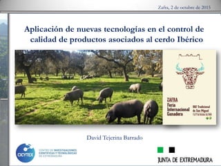 Aplicación de nuevas tecnologías en el control de
calidad de productos asociados al cerdo Ibérico
Zafra, 2 de octubre de 2015
David Tejerina Barrado
 
