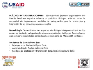 DIÁLOGOS INTERGENERACIONALES: conocer otros procesos organizativos del
Pueblo Zenú en espacios urbanos y posibilitar diálogos abiertos sobre la
necesidad de implementar medidas de salvaguardia para la protección y
trasmisión de los conocimientos ancestrales
Metodología: Se realizarán tres espacios de dialogo intergeneracional en los
cuales se invitarán delegados de otros asentamientos indígenas Zenú urbanos
que comparten realidades parecidas al asentamiento de Maicao (15 invitados
Los Temas de Estos Talleres Son:
• la Mujer en el Pueblo Indígena Zenú
• Autoridades del Pueblo Indígena Zenú
• Medidas de protección y transmisión del patrimonio cultural Zenú
 