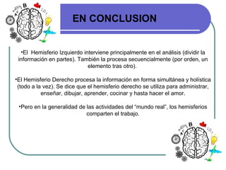 •El Hemisferio Izquierdo interviene principalmente en el análisis (dividir la
información en partes). También la procesa secuencialmente (por orden, un
elemento tras otro).
•El Hemisferio Derecho procesa la información en forma simultánea y holística
(todo a la vez). Se dice que el hemisferio derecho se utiliza para administrar,
enseñar, dibujar, aprender, cocinar y hasta hacer el amor.
•Pero en la generalidad de las actividades del “mundo real”, los hemisferios
comparten el trabajo.
EN CONCLUSION
 