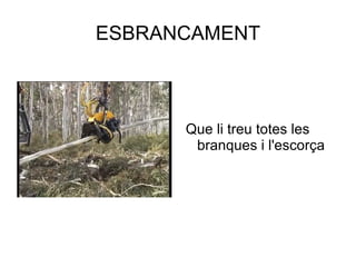 ESBRANCAMENT Que li treu totes les branques i l'escorça 