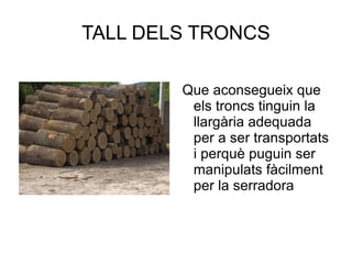 TALL DELS TRONCS Que aconsegueix que els troncs tinguin la llargària adequada per a ser transportats i perquè puguin ser manipulats fàcilment per la serradora  
