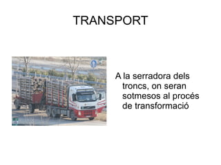 TRANSPORT A la serradora dels troncs, on seran sotmesos al procés de transformació  