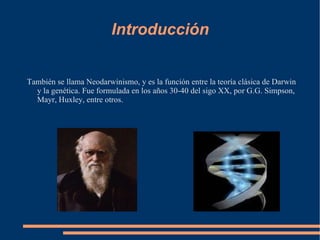 Introducción También se llama Neodarwinismo, y es la función entre la teoría clásica de Darwin y la genética. Fue formulada en los años 30-40 del sigo XX, por G.G. Simpson, Mayr, Huxley, entre otros.