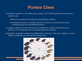 La selección natural actúa sobre la variabilidad genética.