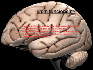 L'exercici físic produeix importants modificacions en la personalitat, tals com a estabilitat emocional, autoestima, extraversió, es modera la indefensió i la impotència, millorant igualment la "percepció de si mateix.  Com funcionem? 