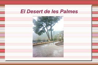 El Desert de les Palmes