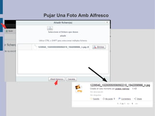 Pujar Una Foto Amb Alfresco
 