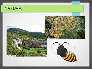 NATURA
 