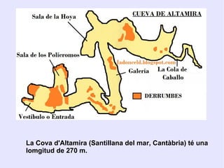 La Cova d'Altamira (Santillana del mar, Cantàbria) té una
lomgitud de 270 m.
 