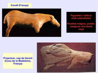 Cavall (França)
Propulsor, cap de bisont
(Cova de la Madeleine,
França)
Figuretes i relleus
molt naturalistes
Finalitat màgica, pretén
asegurar una bona
caça
 