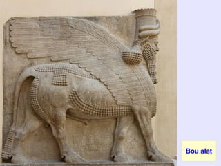 Bou alat
 