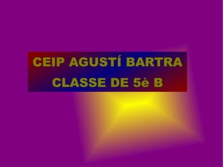 CEIP AGUSTÍ BARTRA CLASSE DE 5è B 