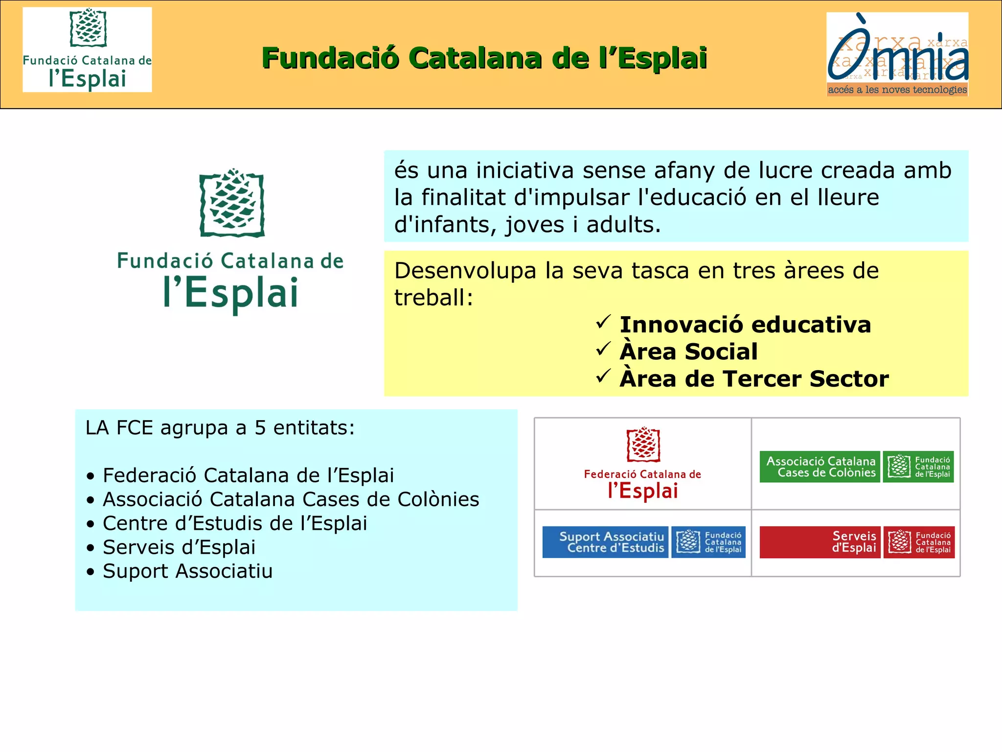 Desenvolupa la seva tasca en tres àrees de treball: Innovació educativa Àrea Social Àrea de Tercer Sector és una iniciativa sense afany de lucre creada amb la finalitat d'impulsar l'educació en el lleure d'infants, joves i adults. LA FCE agrupa a 5 entitats:  Federació Catalana de l’Esplai Associació Catalana Cases de Colònies Centre d’Estudis de l’Esplai Serveis d’Esplai Suport Associatiu Fundació Catalana de l’Esplai 