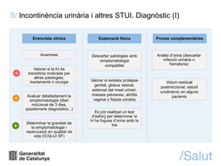 S/ Incontinència urinària i altres STUI. Diagnòstic (I)
Entrevista clínica
Anamnesi
Valorar si la IU és
transitòria motiva...