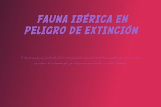 FAUNA IBÉRICA EN
  PELIGRO DE EXTINCIÓN

Esta presentación pretende ofrecer una pequeña muestra de todos animales que se encuentran
          en peligro de extinción que, por desgracia son muchos en todo el planeta.
 