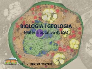 BIOLOGIA I GEOLOGIA
Matèria optativa 4t ESO
 