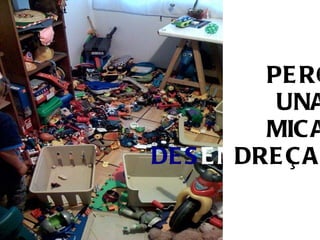 QUÈ ÉS  UN  PLE Un  és un conjunt d' eines,   fonts d'informació  i   connexions   per  APRENDRE   