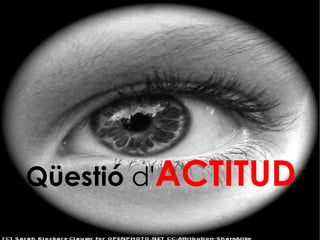 Trobem  una solució i podem generar un  contingut 